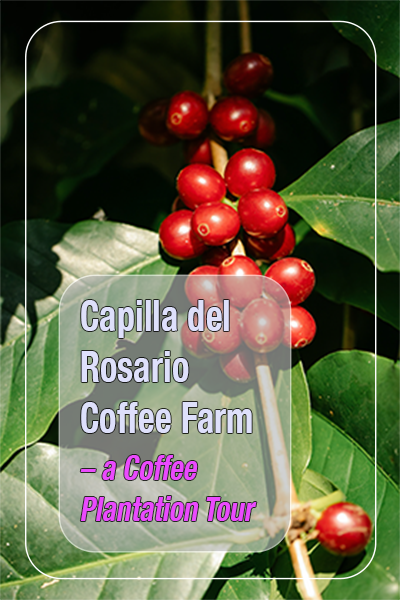 Capilla del Rosario - a Coffee Plantation Tour by Coromandel SAS